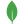 MongoDB